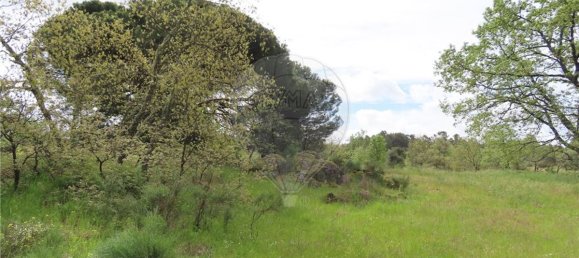 9 bedrooms Castles in Penamacor, Portugal No. 63142 33