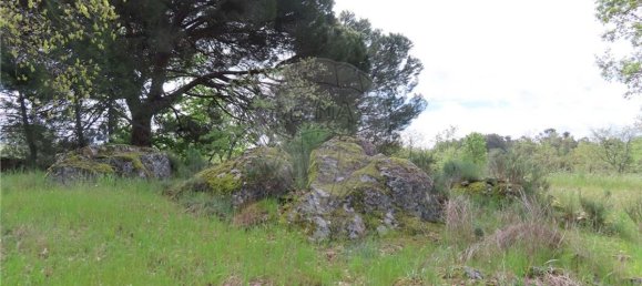 9 bedrooms Castles in Penamacor, Portugal No. 63142 34