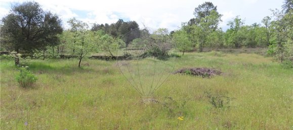 9 bedrooms Castles in Penamacor, Portugal No. 63142 38