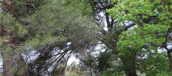 9 bedrooms Castles in Penamacor, Portugal No. 63142 30