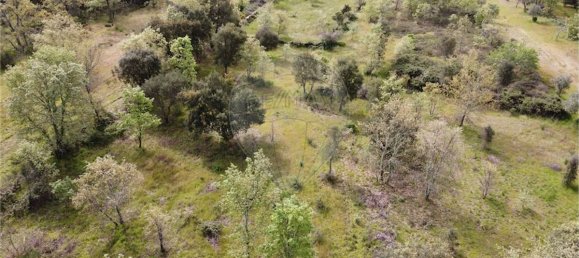 9 bedrooms Castles in Penamacor, Portugal No. 63142 17