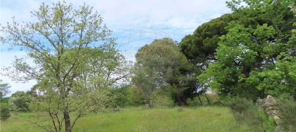 9 bedrooms Castles in Penamacor, Portugal No. 63142 28