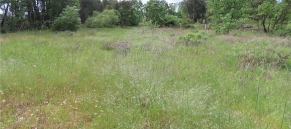 9 bedrooms Castles in Penamacor, Portugal No. 63142 43