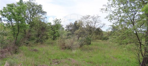 9 bedrooms Castles in Penamacor, Portugal No. 63142 29