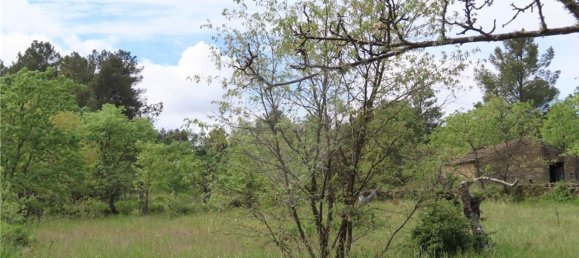 9 bedrooms Castles in Penamacor, Portugal No. 63142 27