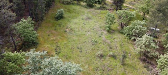 9 bedrooms Castles in Penamacor, Portugal No. 63142 18