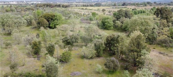 9 bedrooms Castles in Penamacor, Portugal No. 63142 20