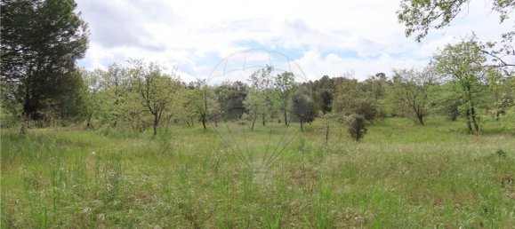 9 bedrooms Castles in Penamacor, Portugal No. 63142 35