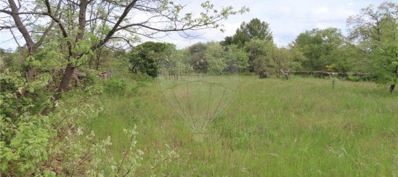 9 bedrooms Castles in Penamacor, Portugal No. 63142 25