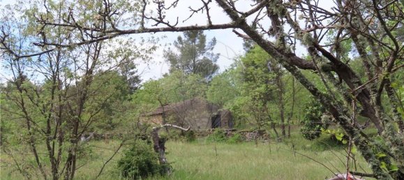 9 bedrooms Castles in Penamacor, Portugal No. 63142 26