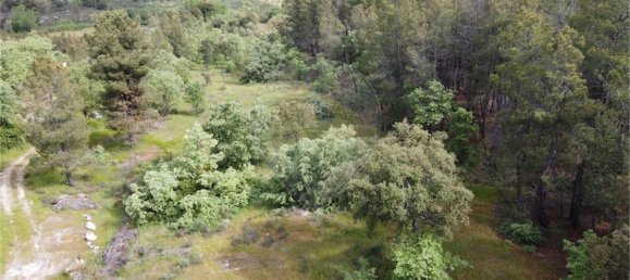 9 bedrooms Castles in Penamacor, Portugal No. 63142 4