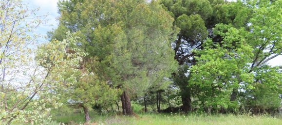 9 bedrooms Castles in Penamacor, Portugal No. 63142 37