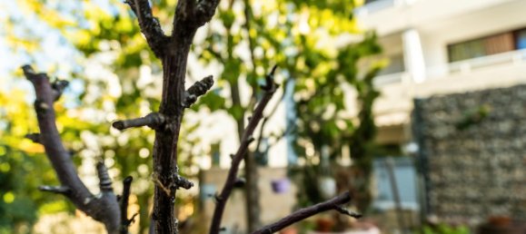 Moradia em banda T3 em Ludwigshafen am Rhein, Germany N.º 331536 15