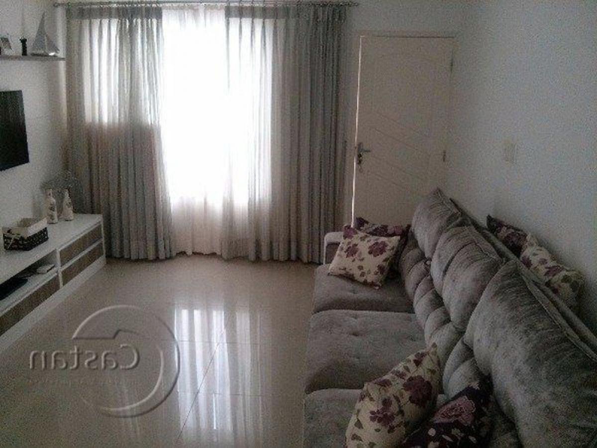 3 Schlafzimmer Haus in Sao Paulo, Brazil, Nr. 560333