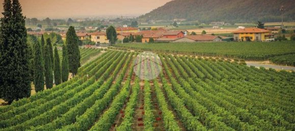 1000m² Land in Erbusco, Italy No. 152431 14