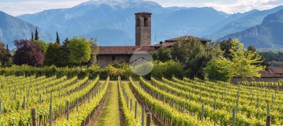 1000m² Land in Erbusco, Italy No. 152431 13