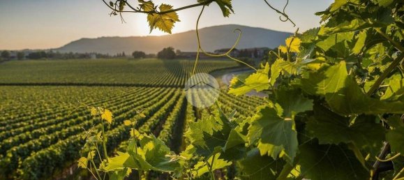 1000m² Land in Erbusco, Italy No. 152431 20