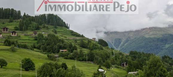 2غرفة شقة في Peio, Italy رقم 33258 10