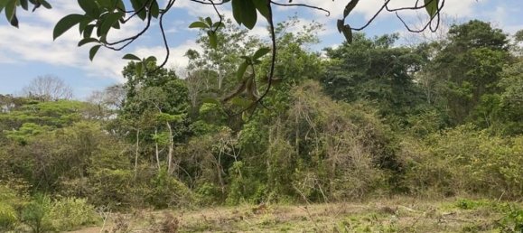Land for sale in Garabito, Puntarenas, Costa Rica № 1947 2