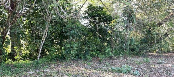 Land for sale in Garabito, Puntarenas, Costa Rica № 1947 5