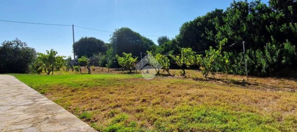 2 غرف نوم فيلا في Sardinia, Italy رقم 287137 4