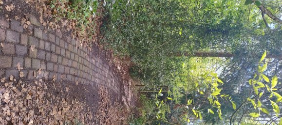 Земельный участок 6144м² в Клоппенбург, Германия № 306043 4