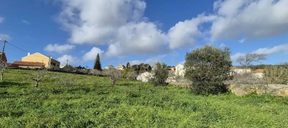 2176m² Land in Sintra, Portugal No. 119971 3