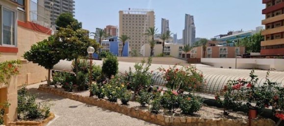 3 chambres Appartement à Benidorm, Spain No. 136203 31