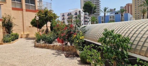 3 chambres Appartement à Benidorm, Spain No. 136203 21