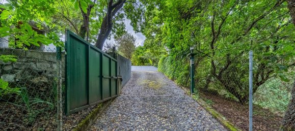 3 bedrooms House in Ponte da Barca, Portugal No. 18093 20