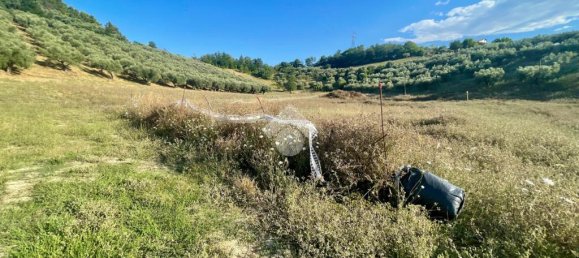 Terreno em Moscufo, Italy 30000 m² N.º 287947 19