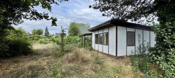 Land in Barnim, Germany No. 242685 8