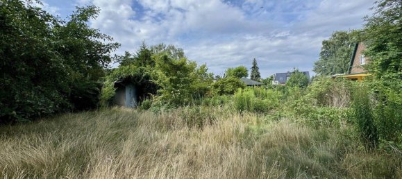 Land in Barnim, Germany No. 242685 4