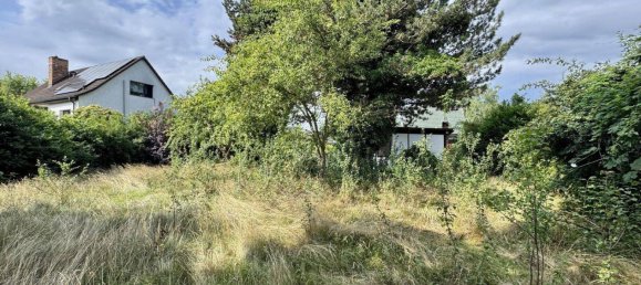 Land in Barnim, Germany No. 242685 5