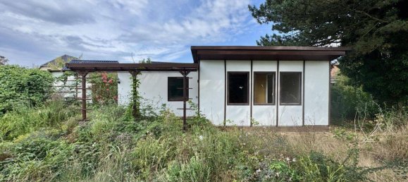 Land in Barnim, Germany No. 242685 9