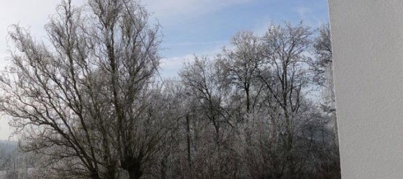 7 rooms Castles in Neckar-Odenwald-Kreis, Germany No. 6438 8