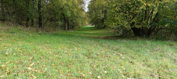 7 rooms Castles in Neckar-Odenwald-Kreis, Germany No. 6438 28