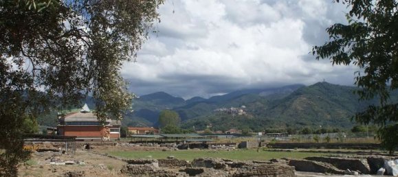 6 rooms House in Luni, Italy No. 99195 31