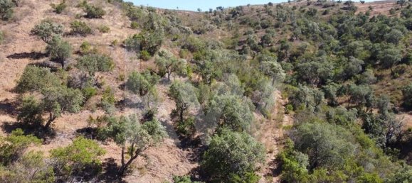 2 Schlafzimmer Haus in Marmelete, Portugal, Nr. 81284 2