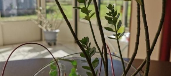 4 chambres Maison à Cravant, France No. 154303 13