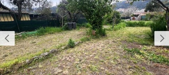 5-salle Maison à Ameglia, Italy No. 109051 3