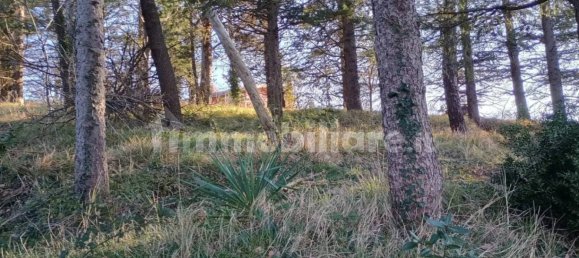 3 bedrooms Villa in Montescudo Monte Colombo, Italy No. 200718 29