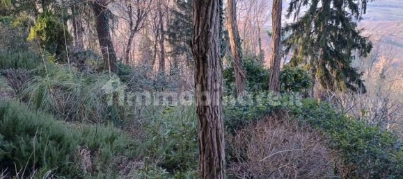 3 bedrooms Villa in Montescudo Monte Colombo, Italy No. 200718 16