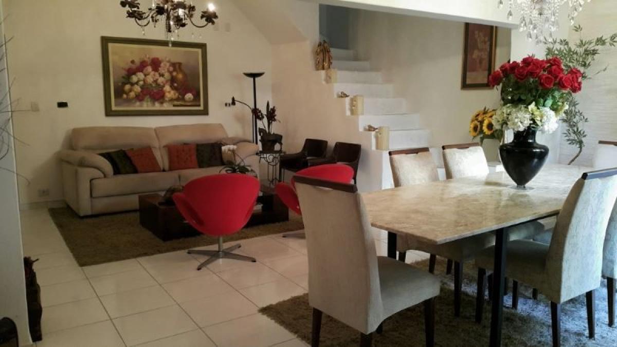 Studio à Sao Paulo, Brazil No. 478022