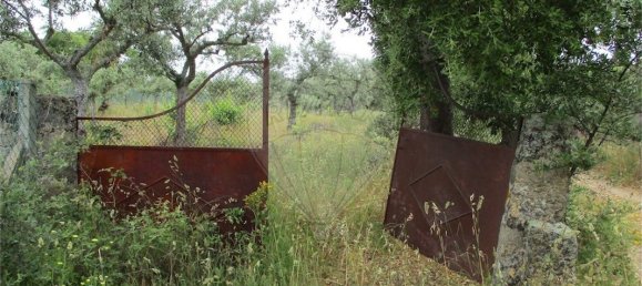 9 Schlafzimmer Haus in Castelo Branco, Portugal, Nr. 73905 4