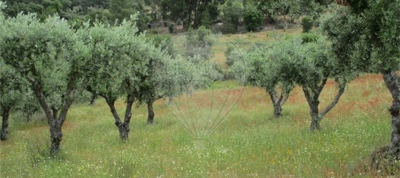 9 Schlafzimmer Haus in Castelo Branco, Portugal, Nr. 73905 26