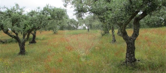 9 Schlafzimmer Haus in Castelo Branco, Portugal, Nr. 73905 36