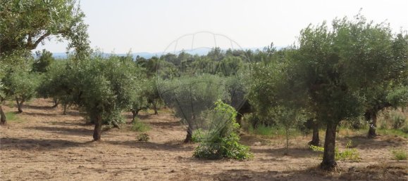9 Schlafzimmer Haus in Castelo Branco, Portugal, Nr. 73905 15
