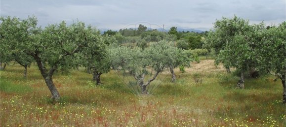 9 Schlafzimmer Haus in Castelo Branco, Portugal, Nr. 73905 34