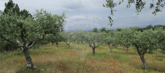 9 Schlafzimmer Haus in Castelo Branco, Portugal, Nr. 73905 32